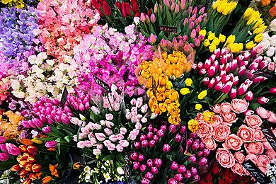 《逃离塔科夫》0.14版本更新日志 新手地图“中心区”上线