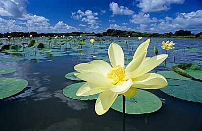 日式2D像素游戏《雨魂》主视觉图公布 游戏延期至2024年初